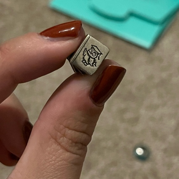 Pandora Charm Lot (8 Charms) - Picture 12 of 12